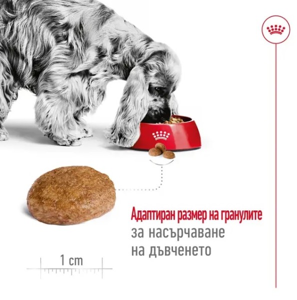 Royal Canin Dog Adult Medium 7+ - Пълноценна суха храна за кучета от средни породи над 7 години
